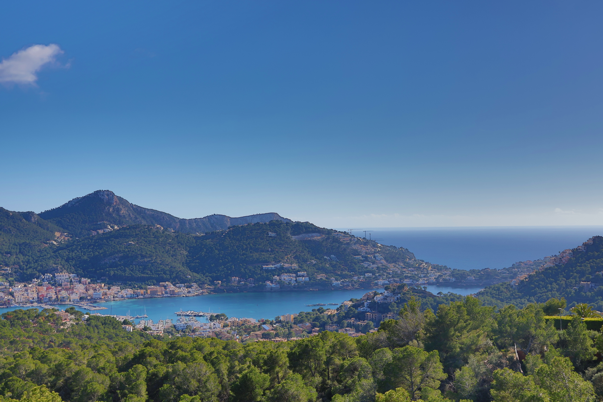 Immobilien München 2024 - Immobilien 2024 in München