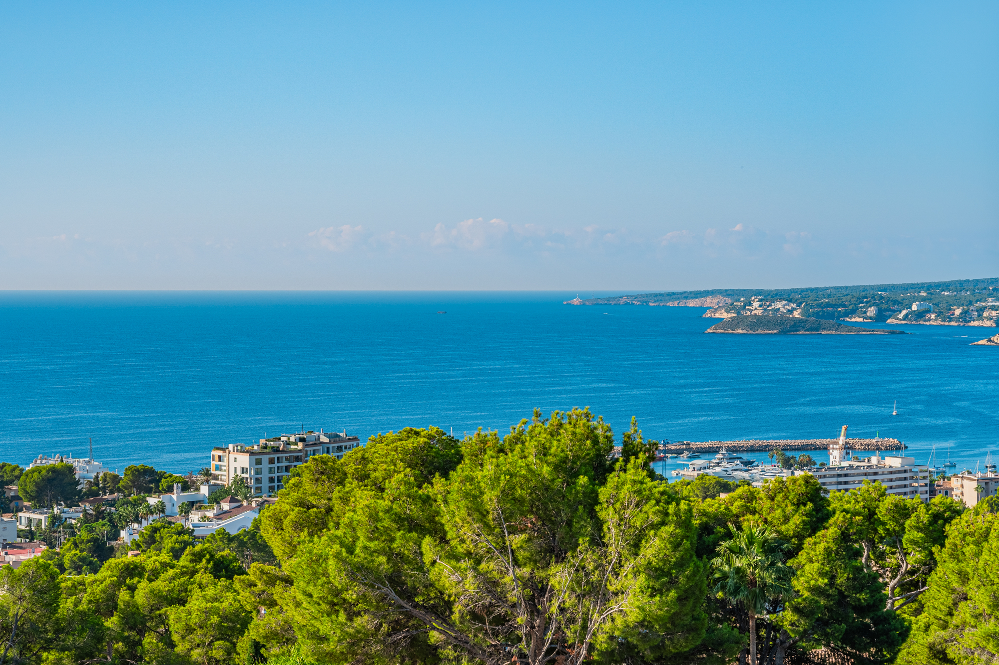 Immobilien München 2024 - Immobilien 2024 in München