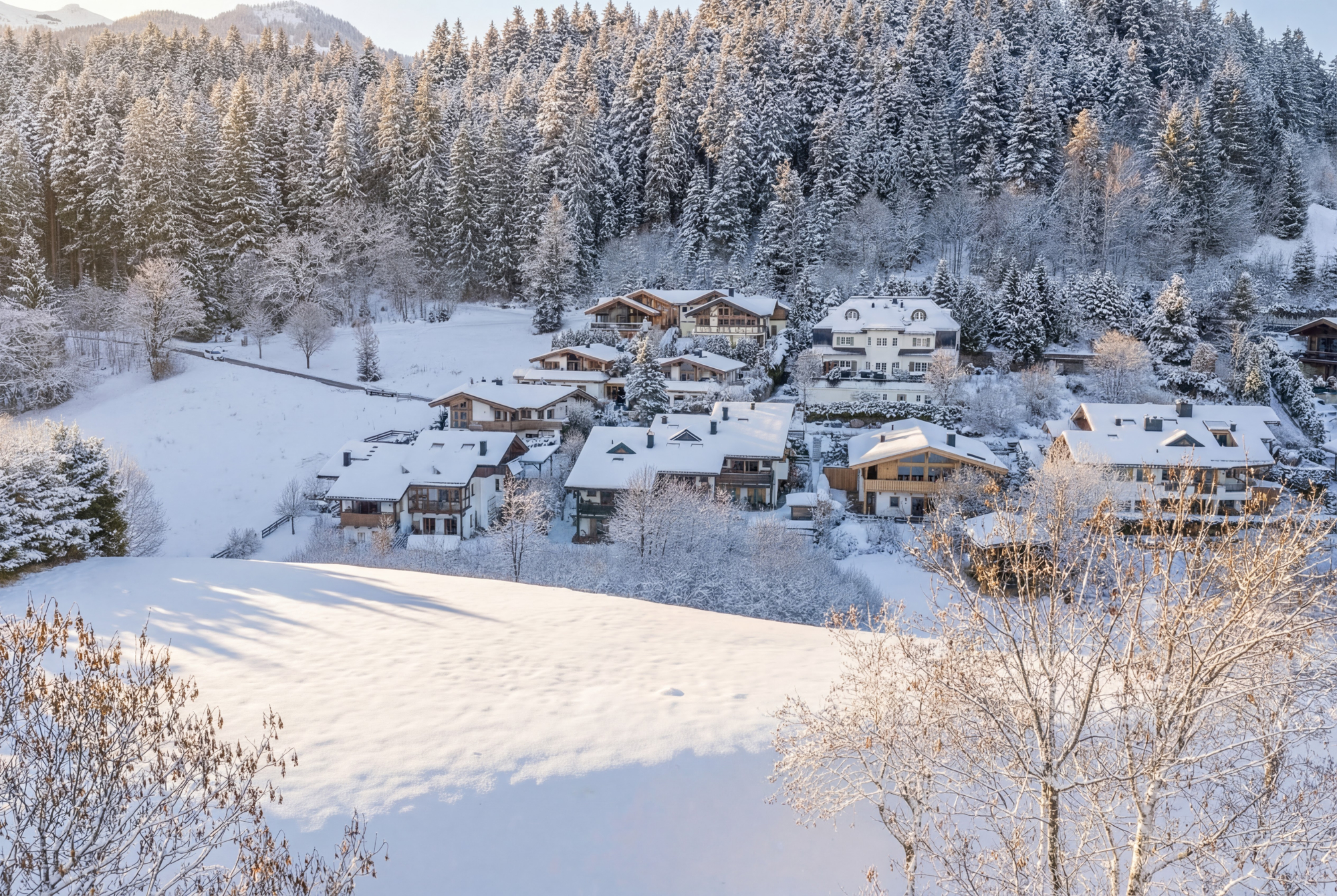 Immobilien München 2024 - Immobilien 2024 in München