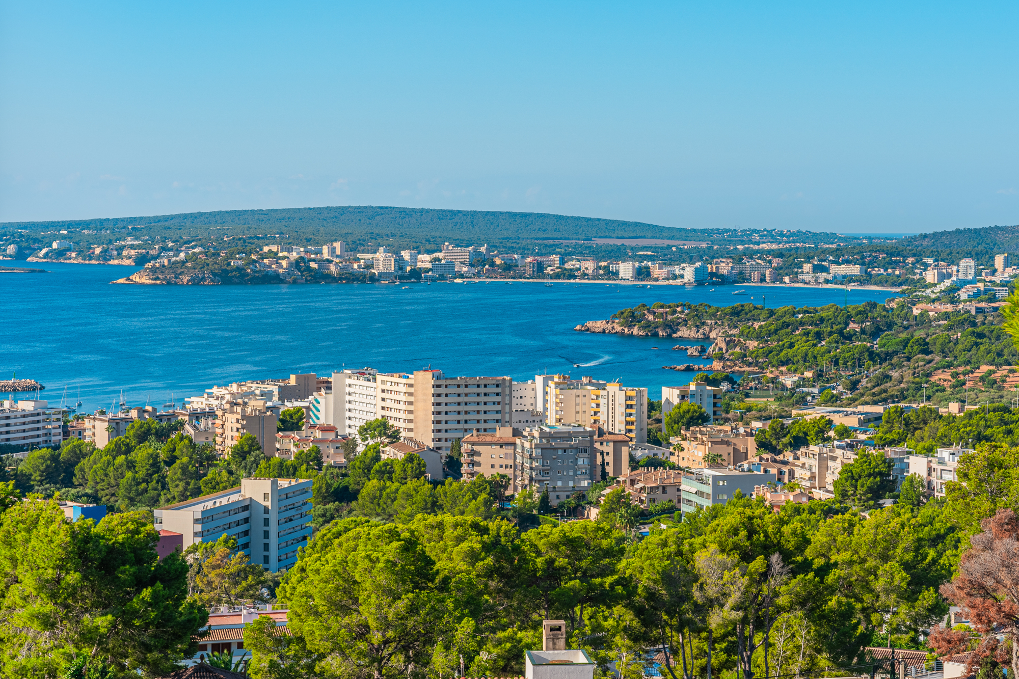 Immobilien München 2024 - Immobilien 2024 in München